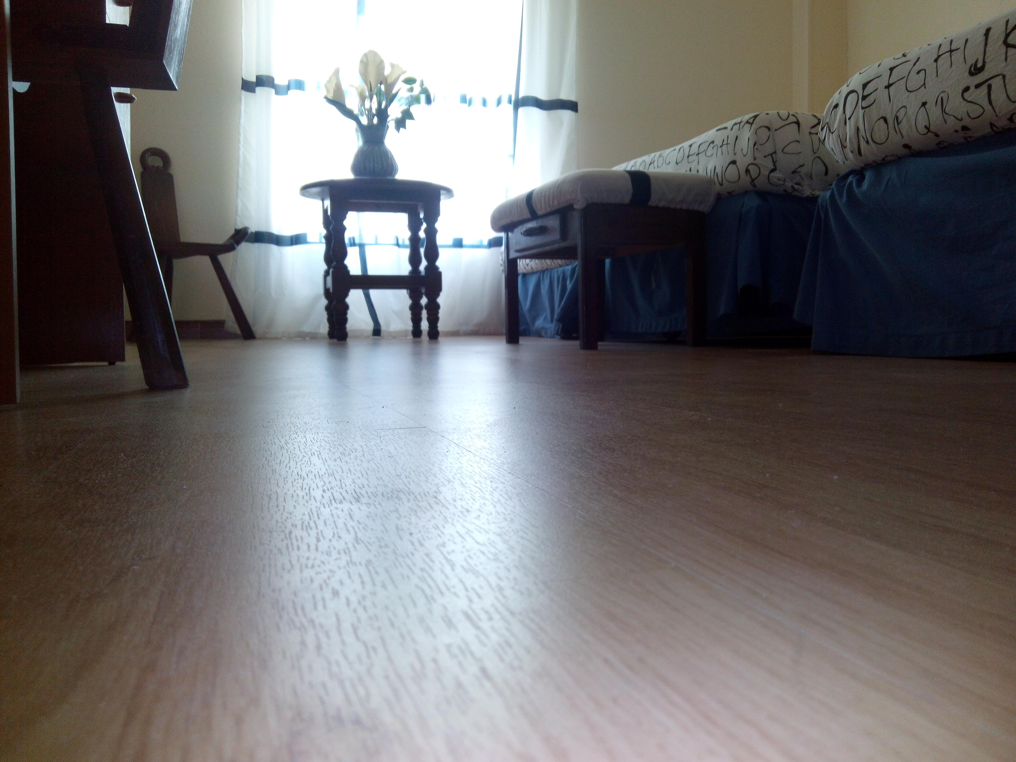 Nuevo Hotel Vista Alegre