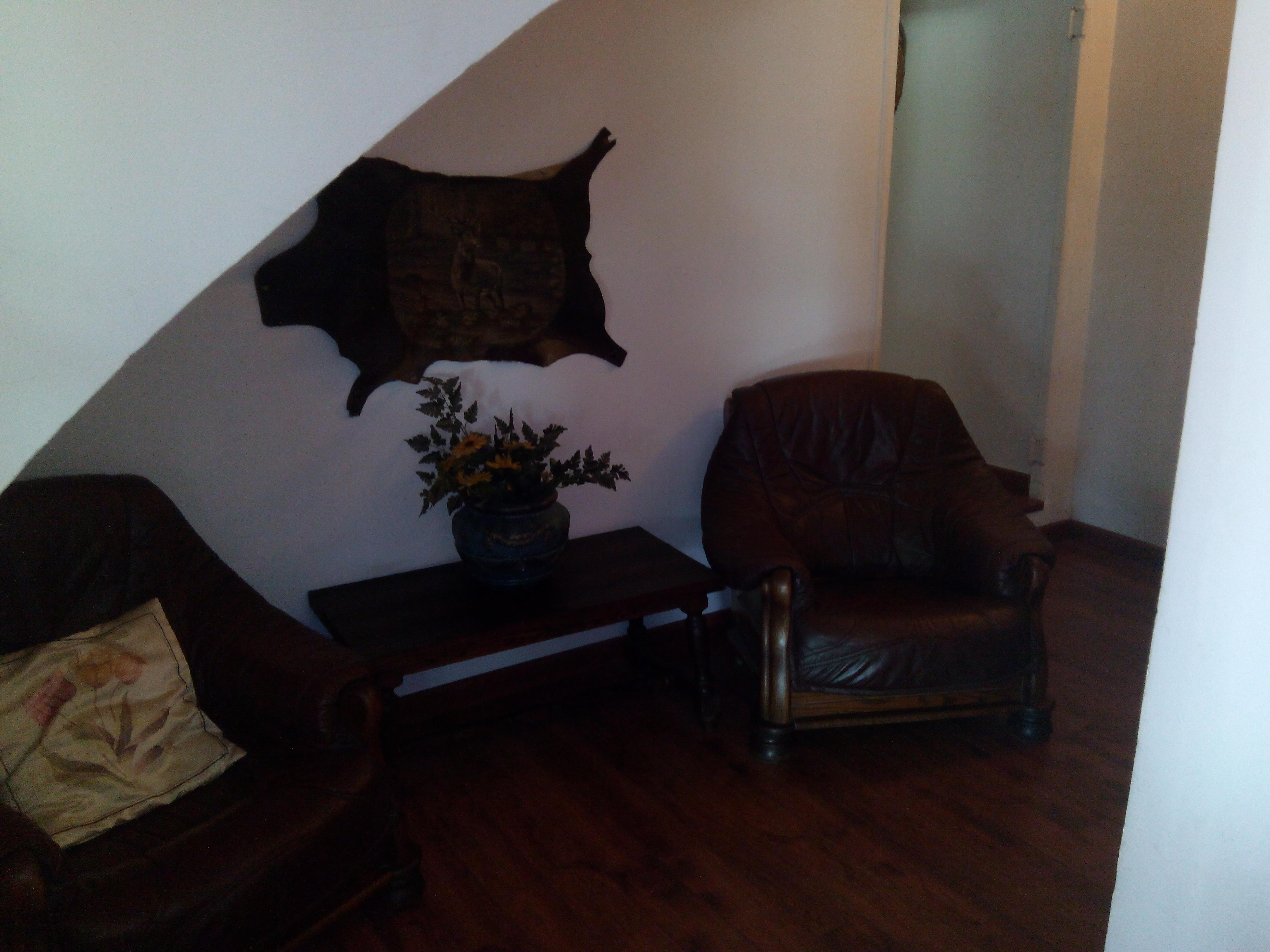 Nuevo Hotel Vista Alegre