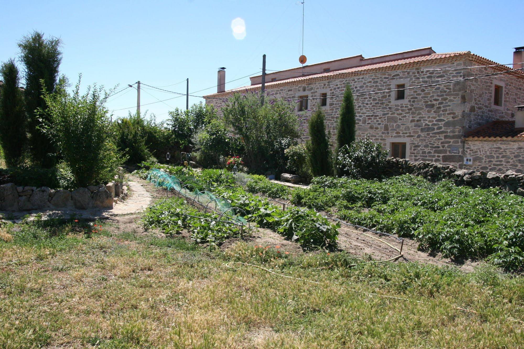 La Casa Del Gallo