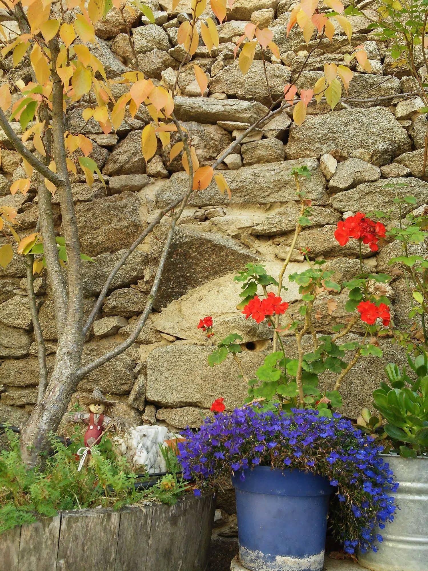 La Casa Del Gallo