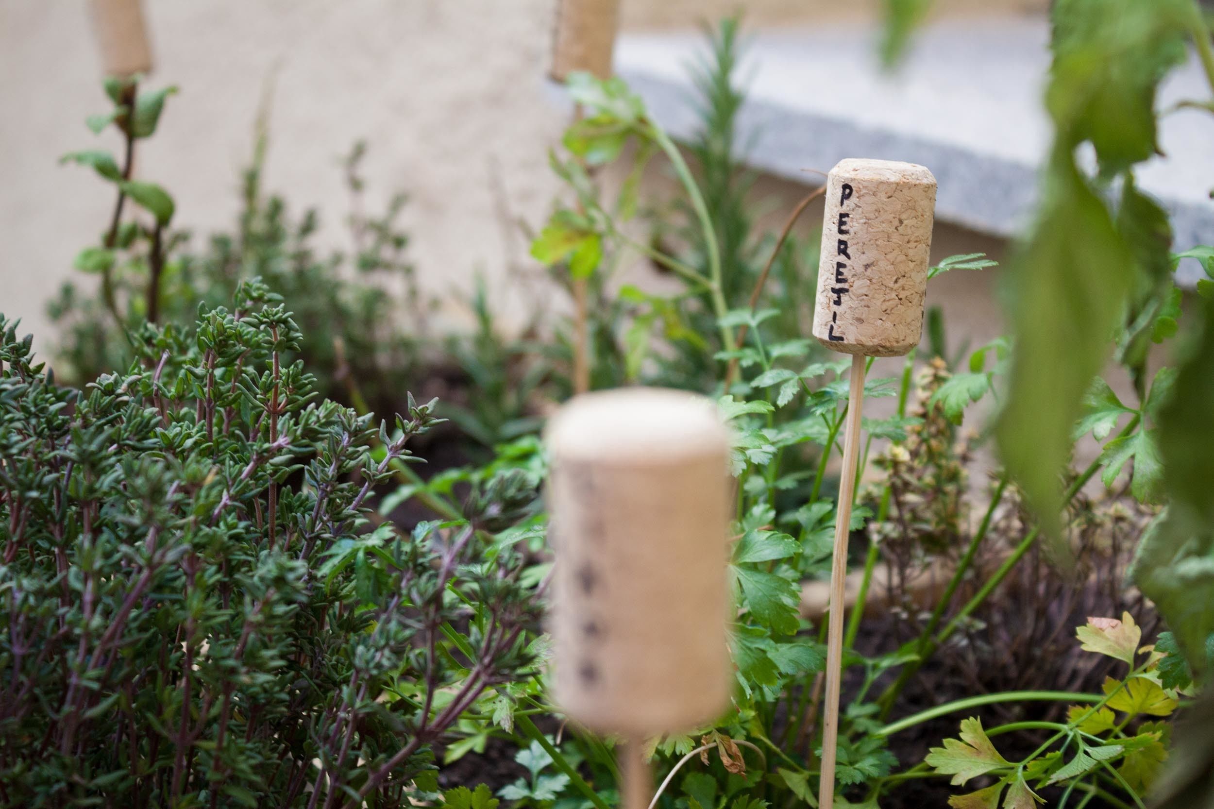 María Pacheco Hotel Boutique