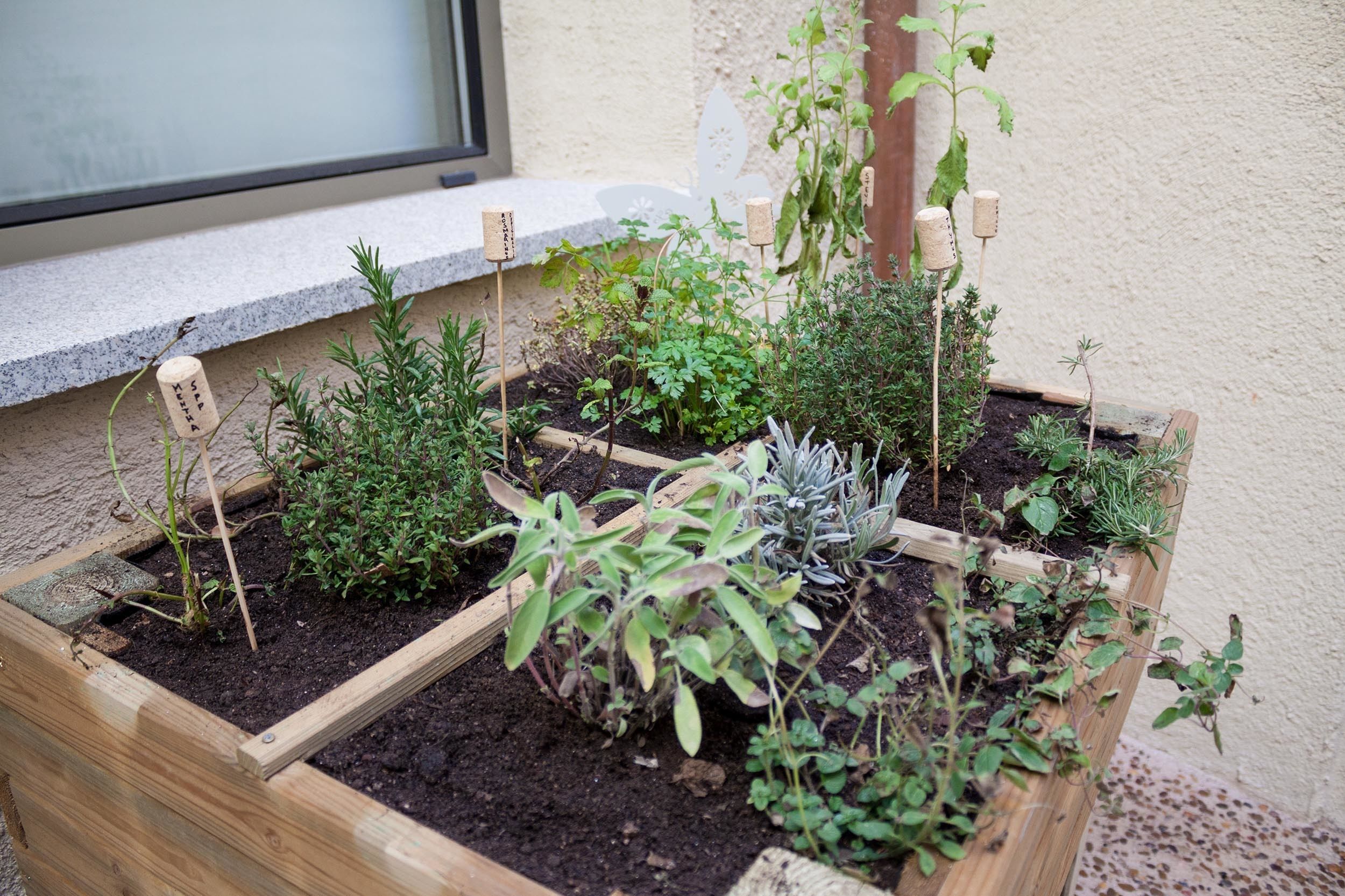 María Pacheco Hotel Boutique