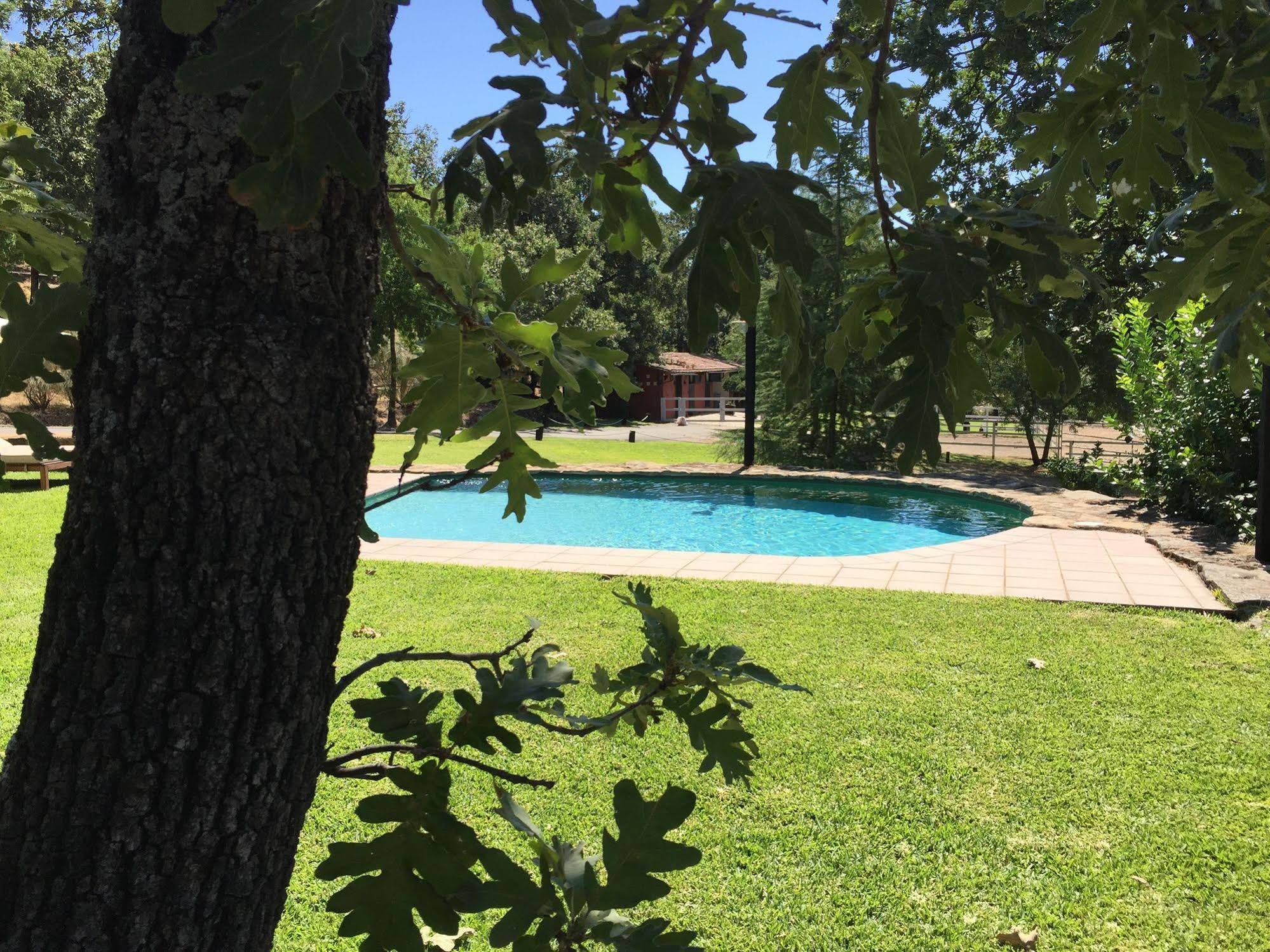 Candelaria Experience