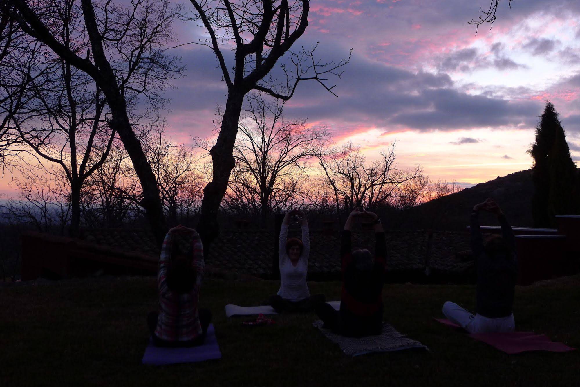 Candelaria Experience