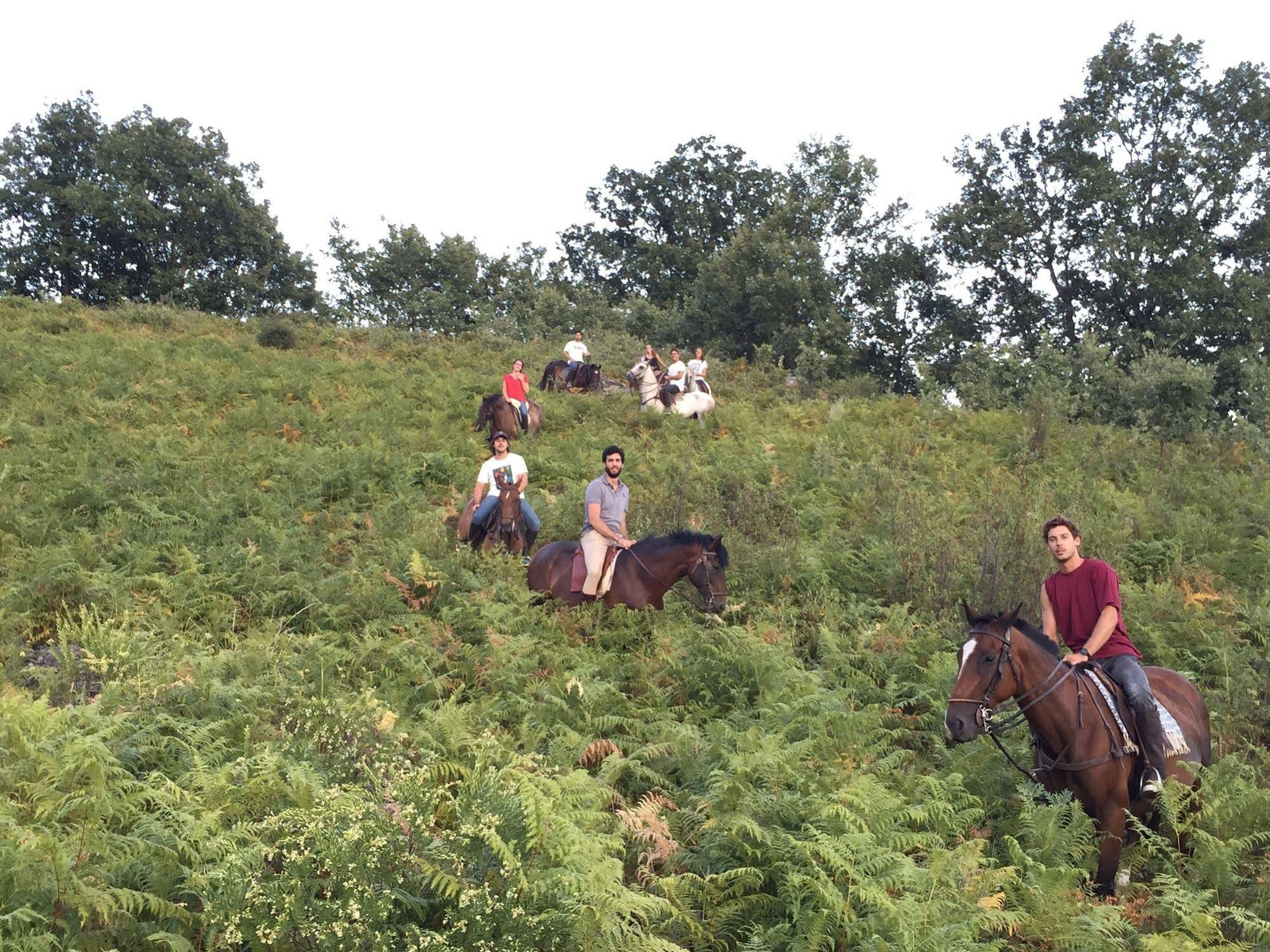 Candelaria Experience