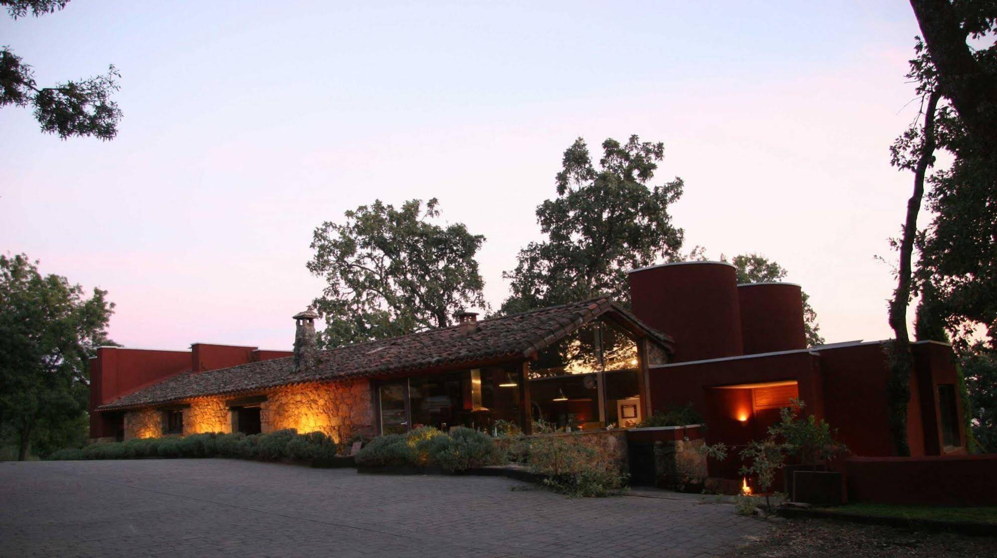 Candelaria Experience