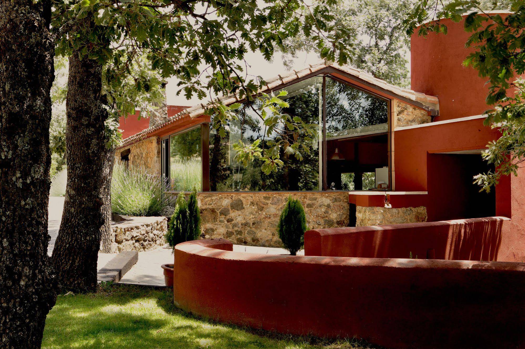 Candelaria Experience