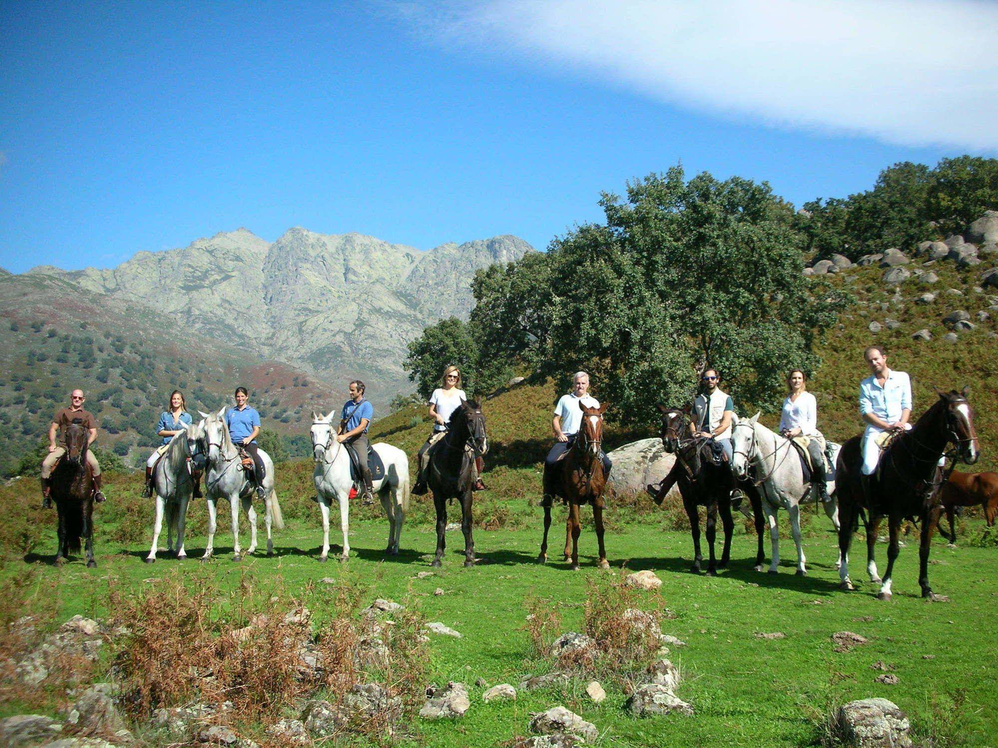 Candelaria Experience