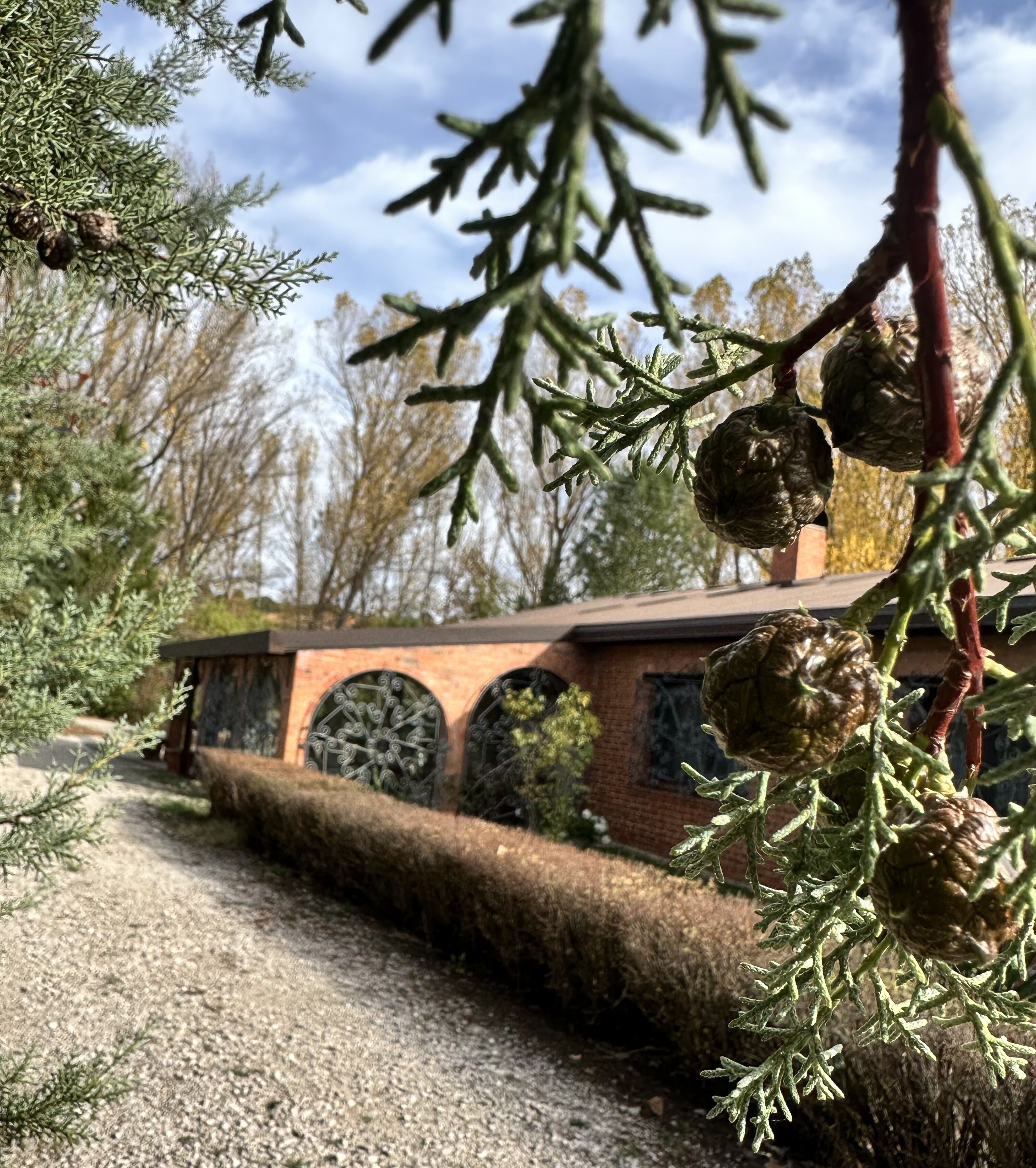 Finca Paraíso Rural