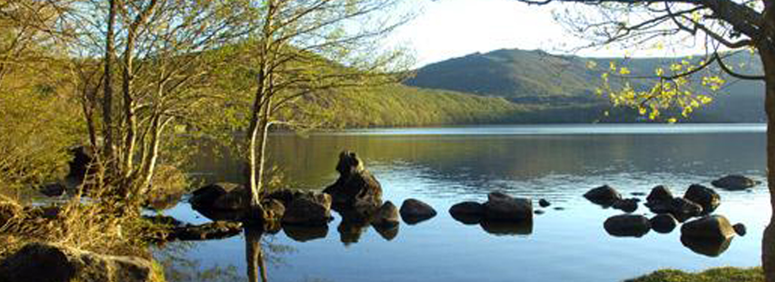 La Posada de Pedrazales