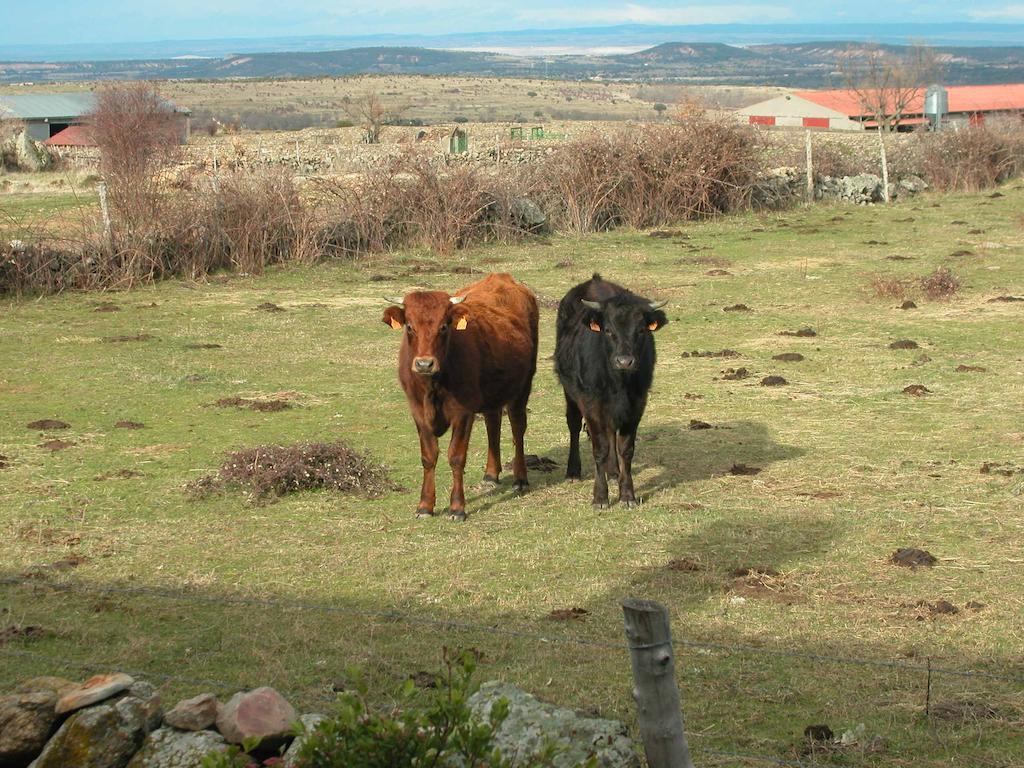 La Posada de Gallegos