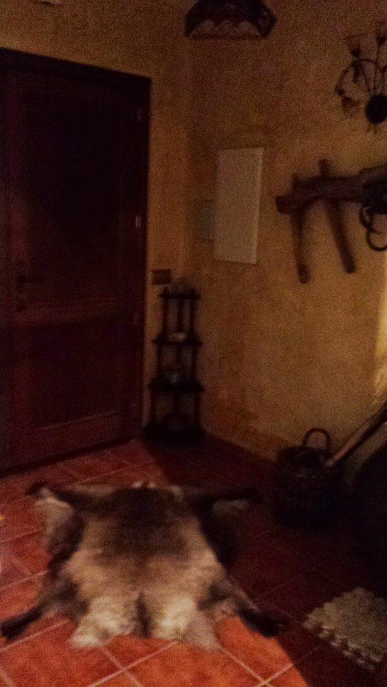 Alojamiento Turistico La Dehesa