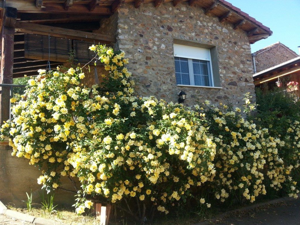 Casa El Rincón De La Rosa 1