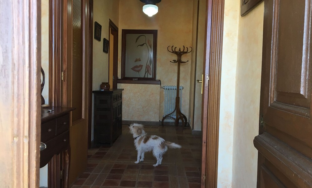 Casa Rural Tia Carmen