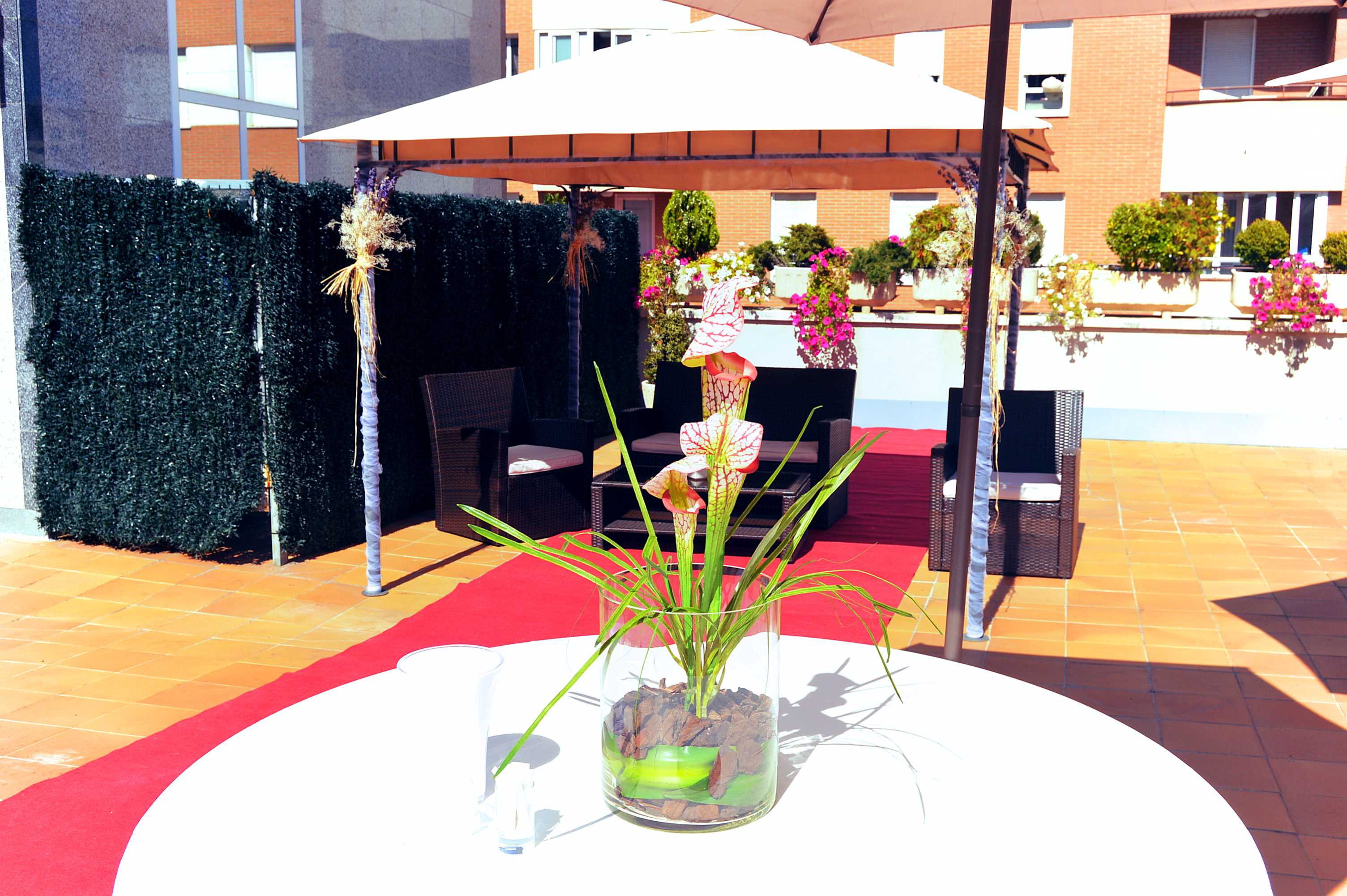 Fc Infantas de León