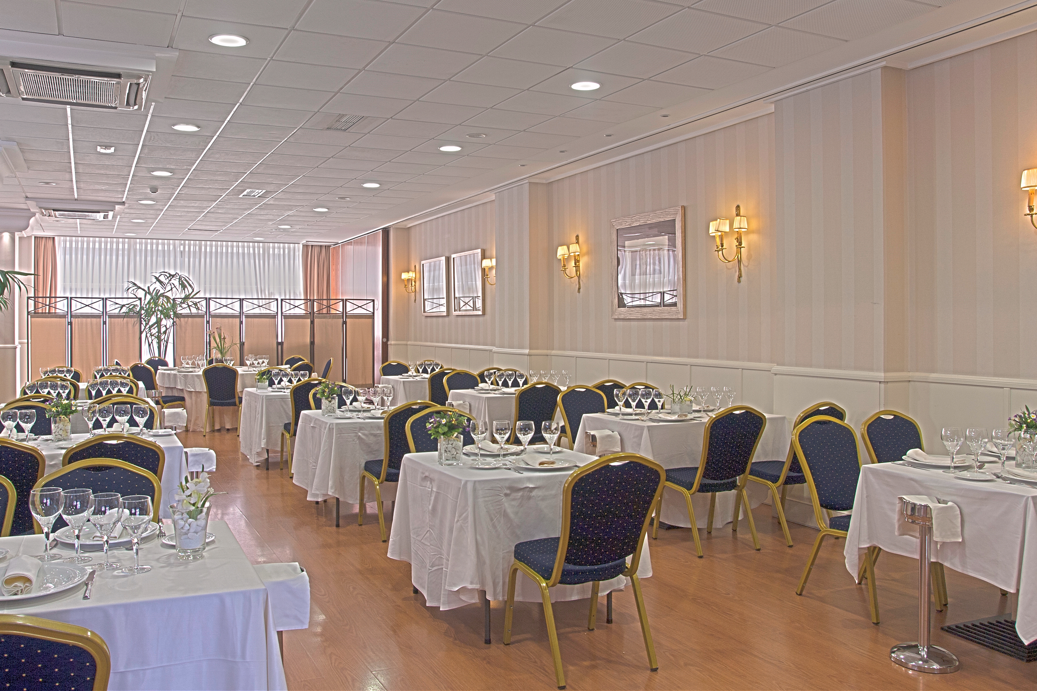 Fc Infantas de León