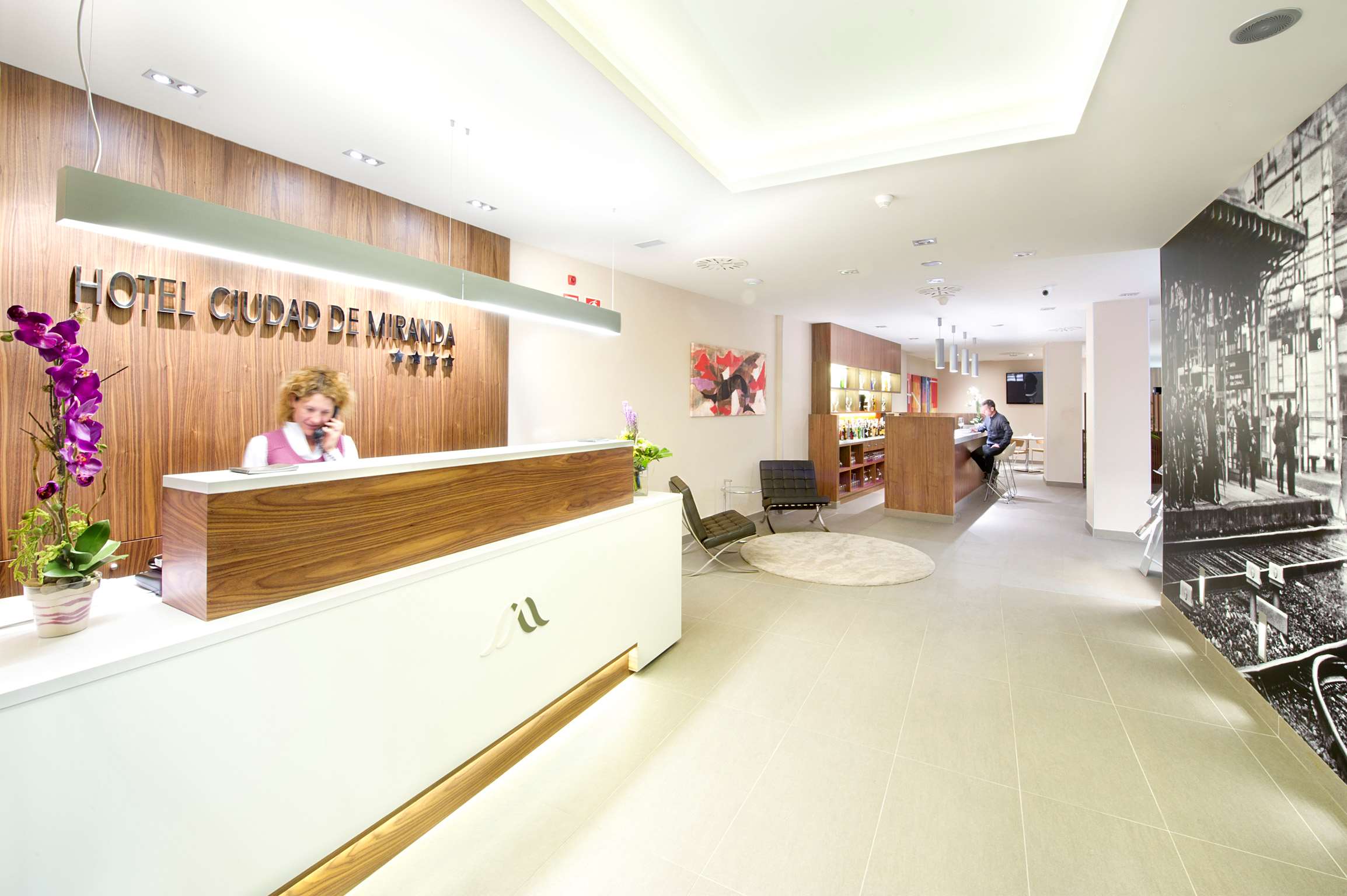 Sercotel Ciudad De Miranda Hotel