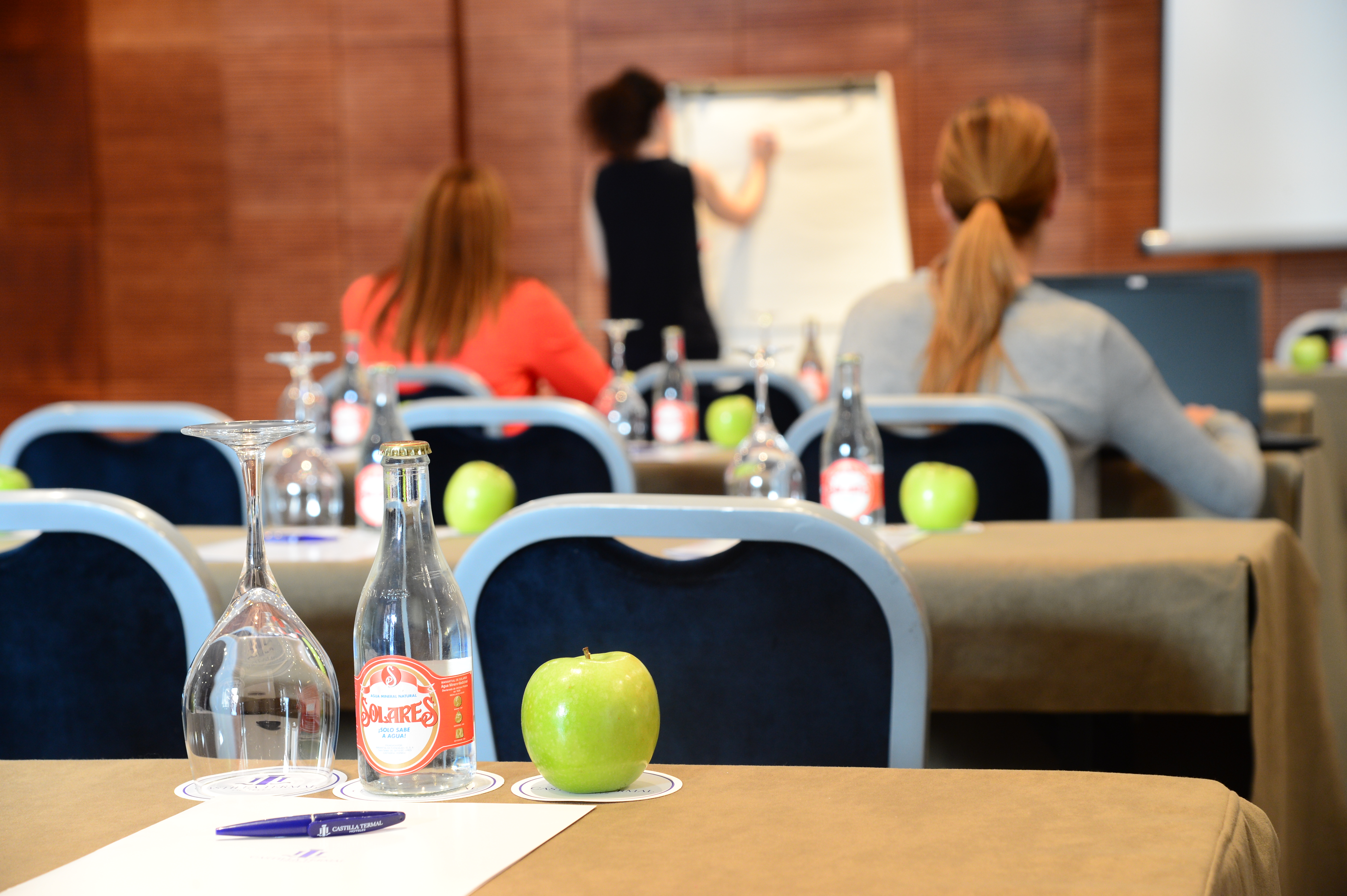 Castilla Termal Olmedo