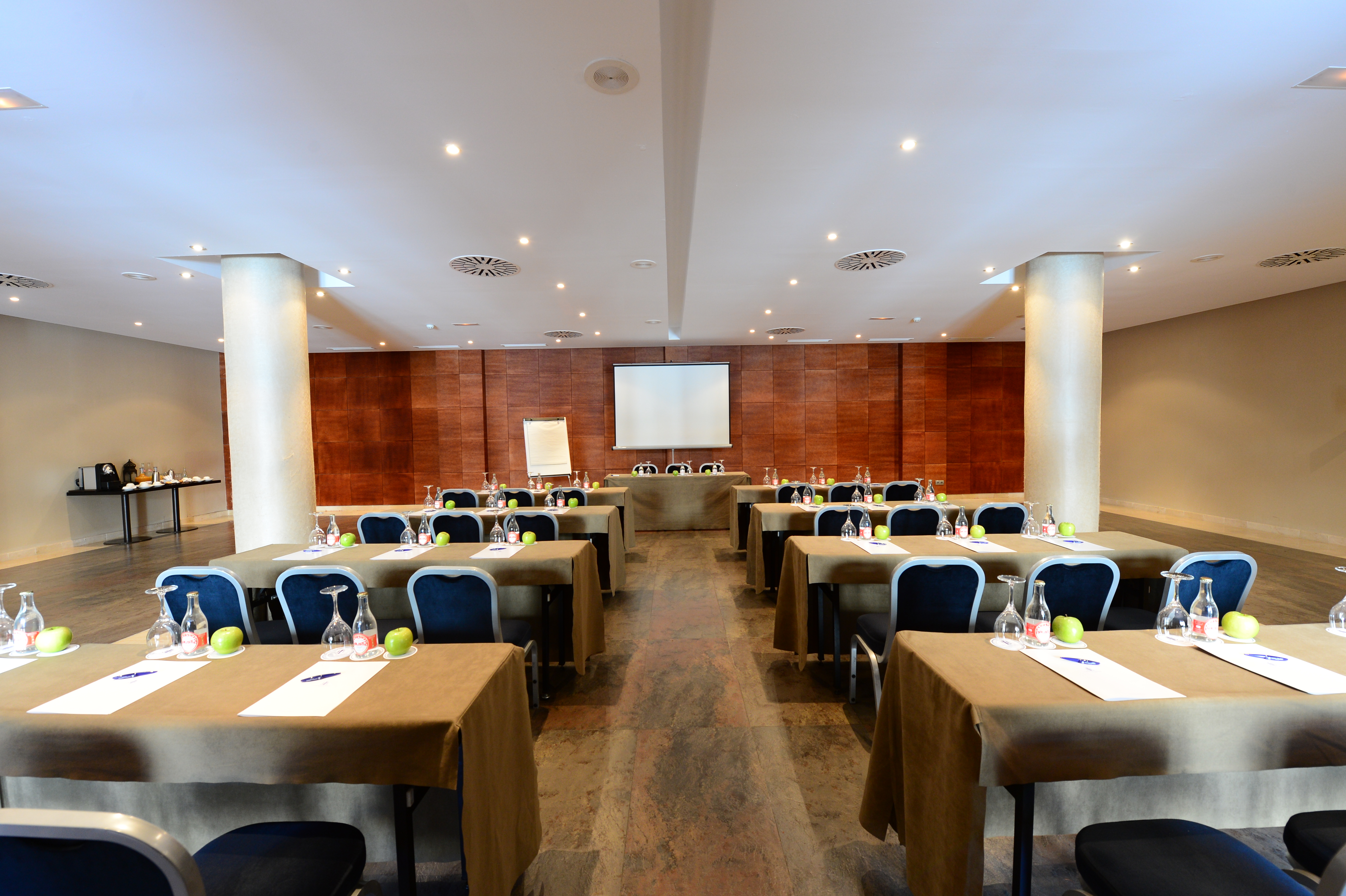 Castilla Termal Olmedo