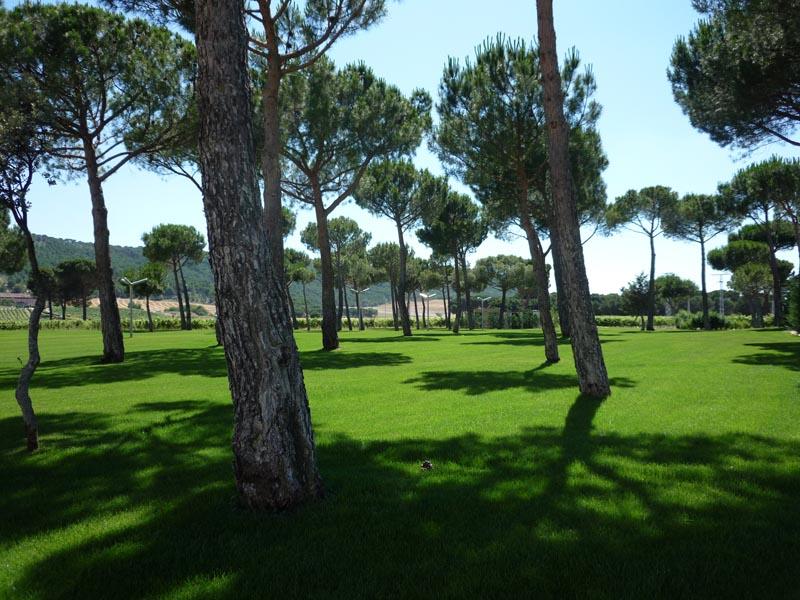 Arzuaga Hotel & Spa