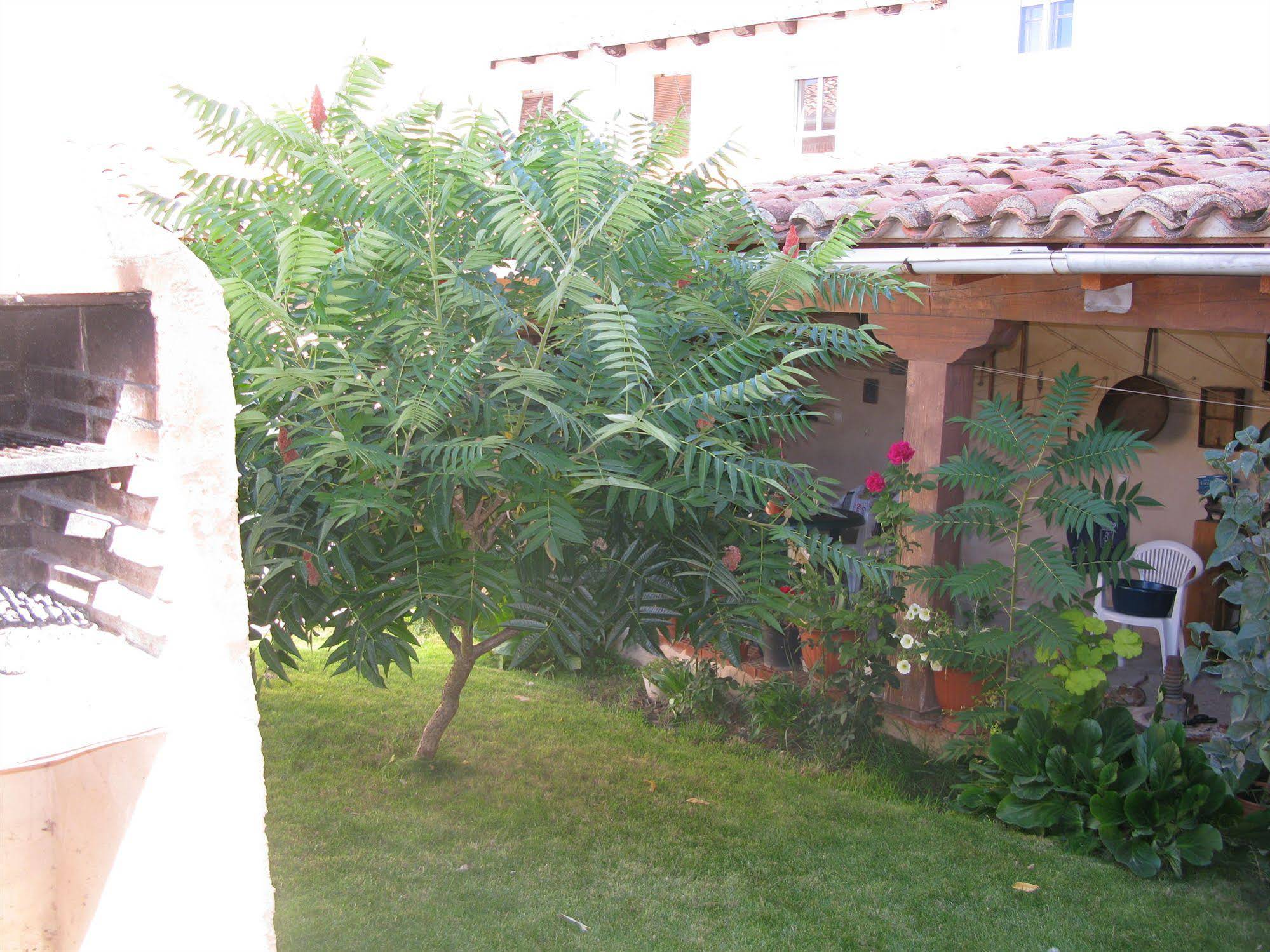 Casa Rural Arturo I