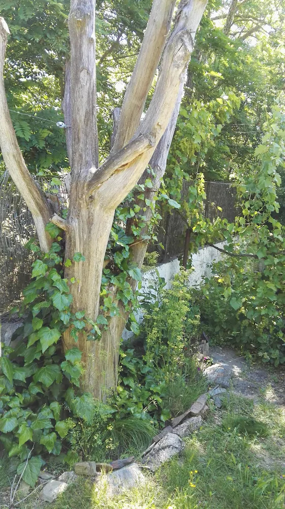 El Condado Turismo Rural