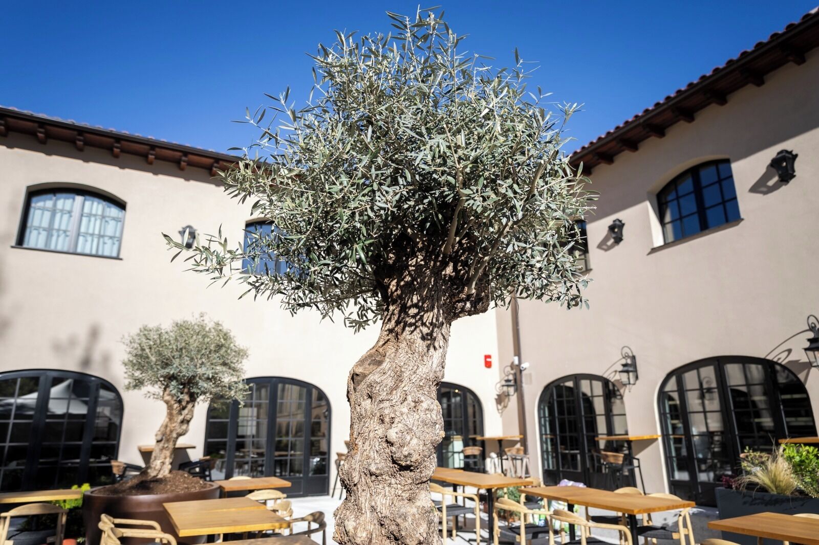Hotel & Spa Convento San Francisco