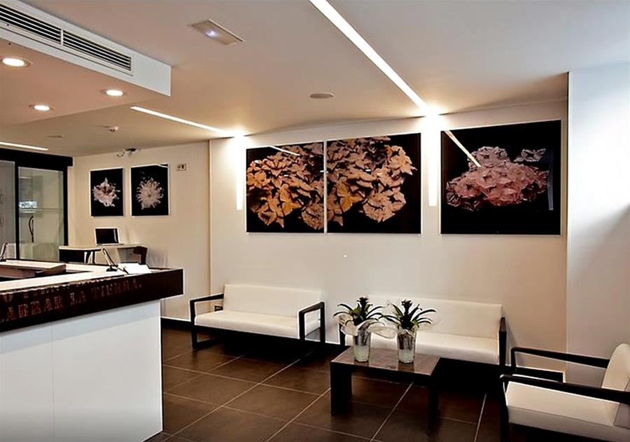 Hotel Apolonia