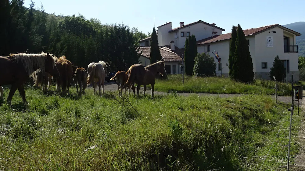 Remanso del Rio Razon