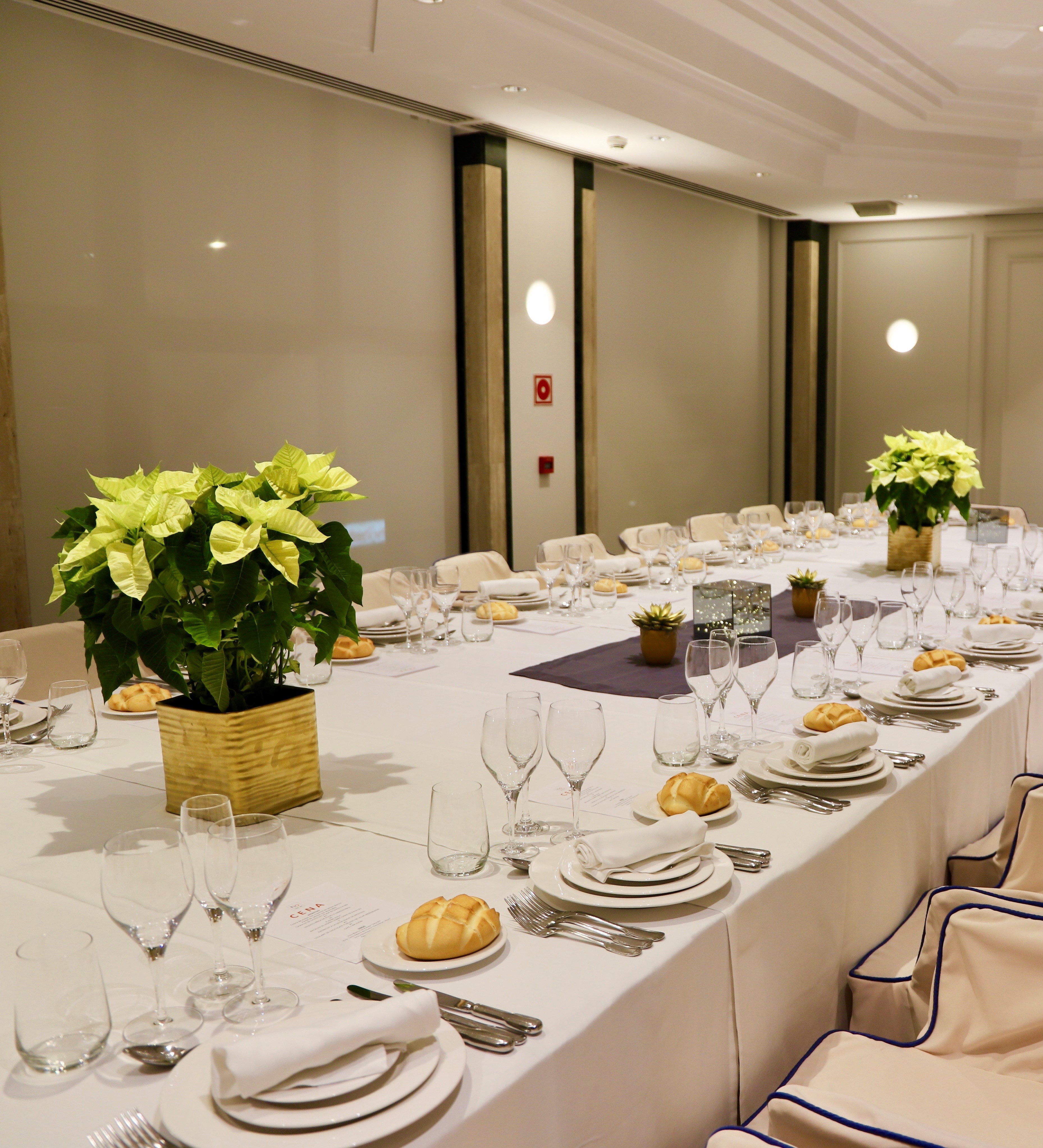 Hotel Olid