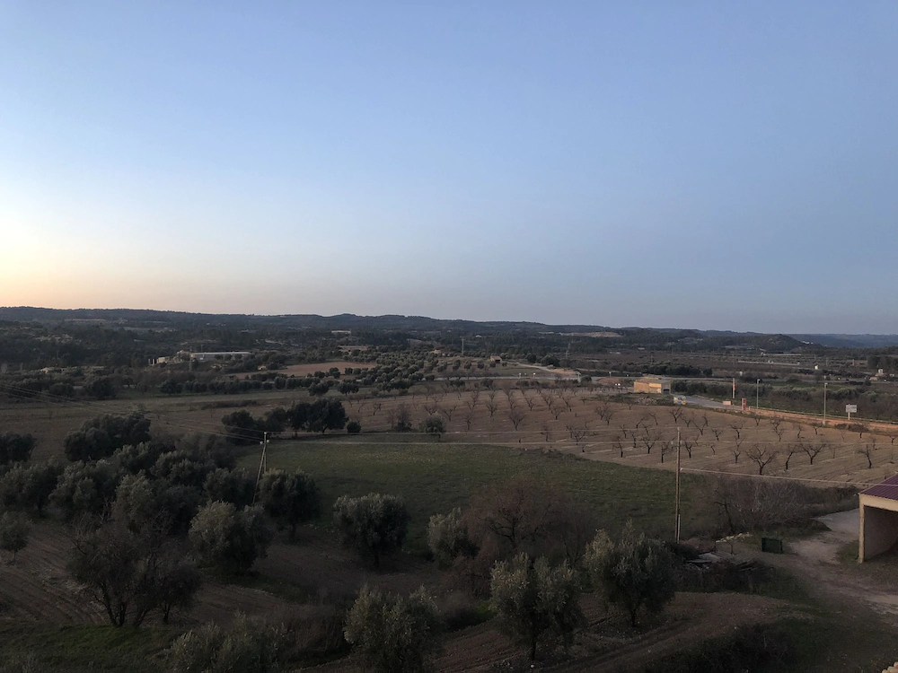 Lo Celler