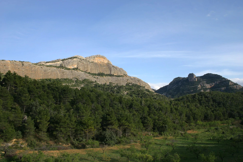 Lo Celler