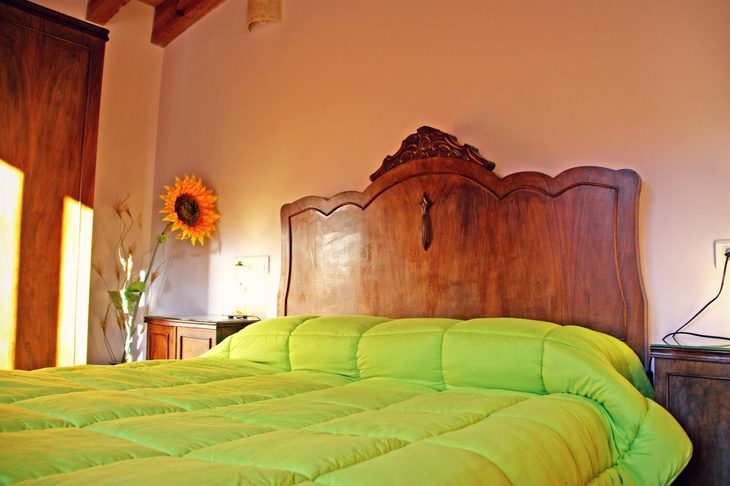 Hort de Mao Casa Vella