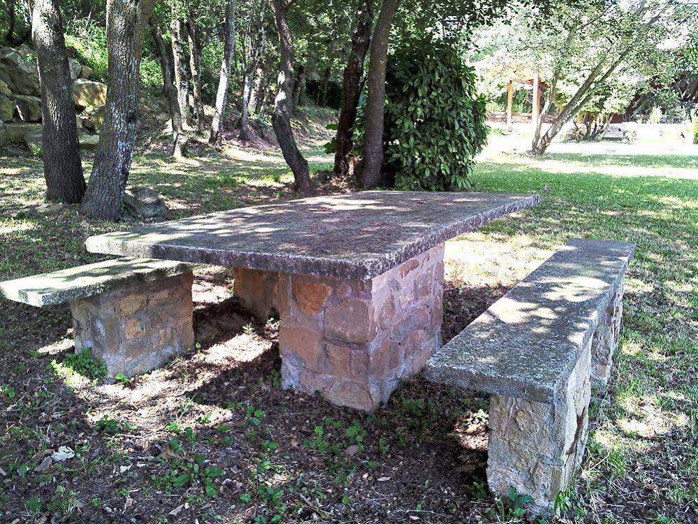 Mas Salvanera