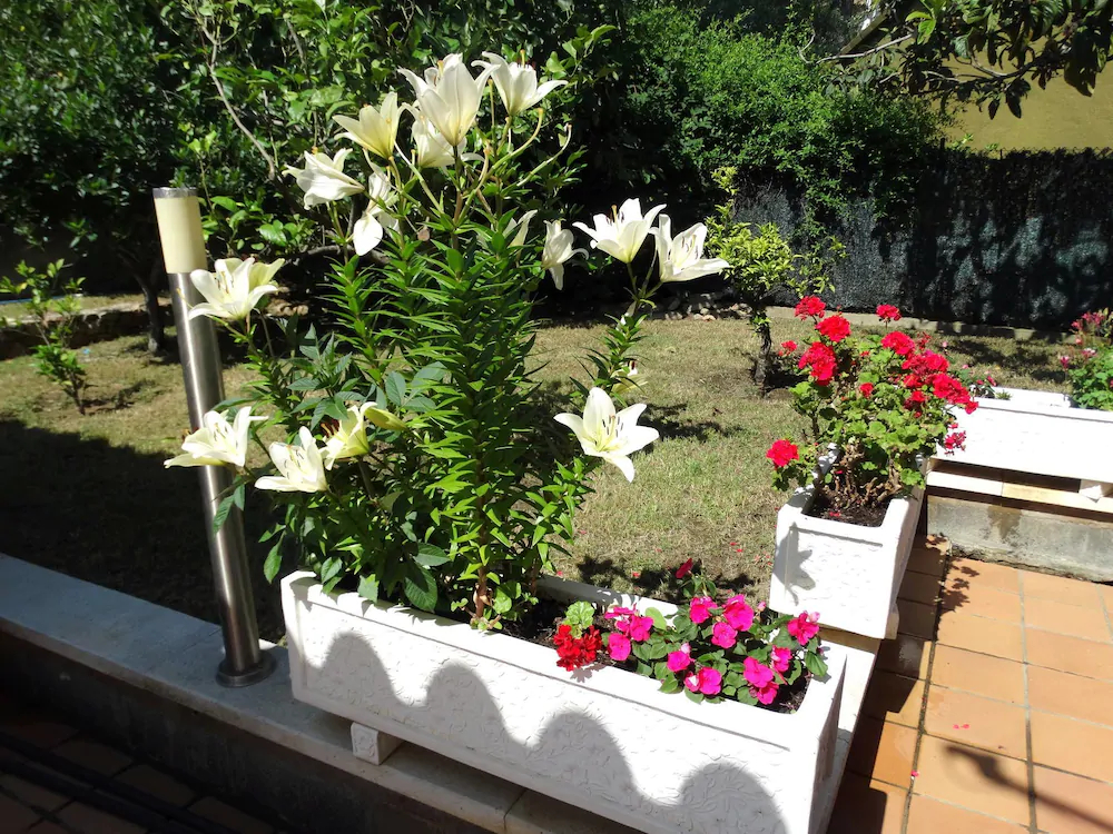 Casa Dolors En Calonge
