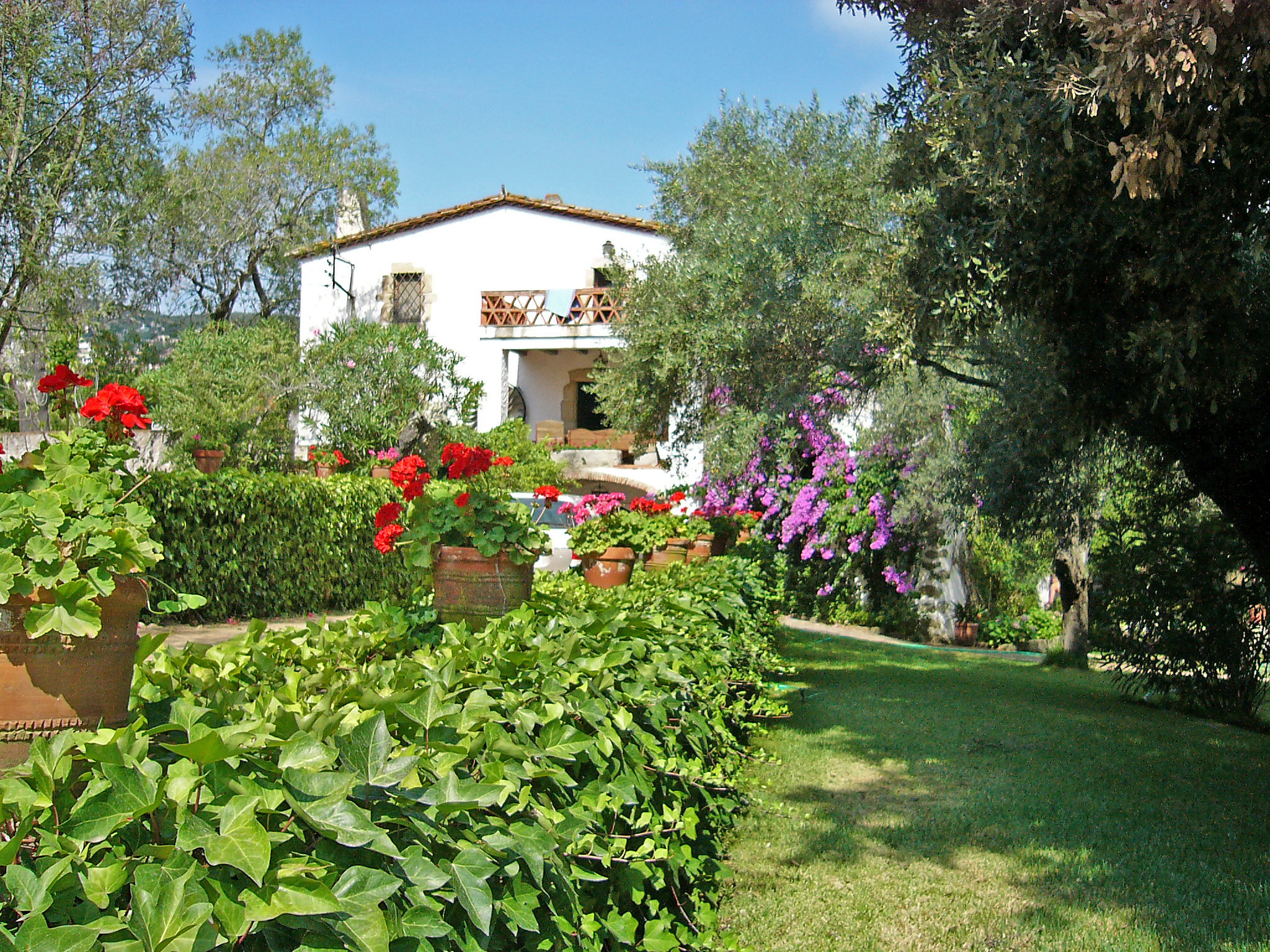 Moli De Mayola
