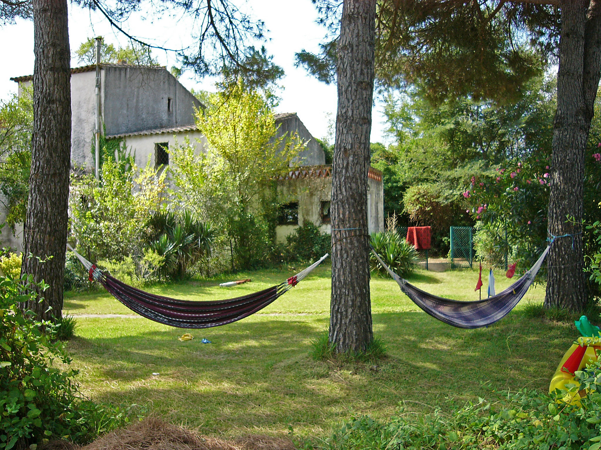 Moli De Mayola