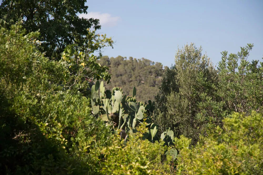 Masia Nur Sitges