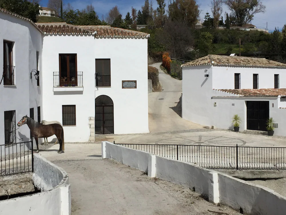 Molino De Saladilla