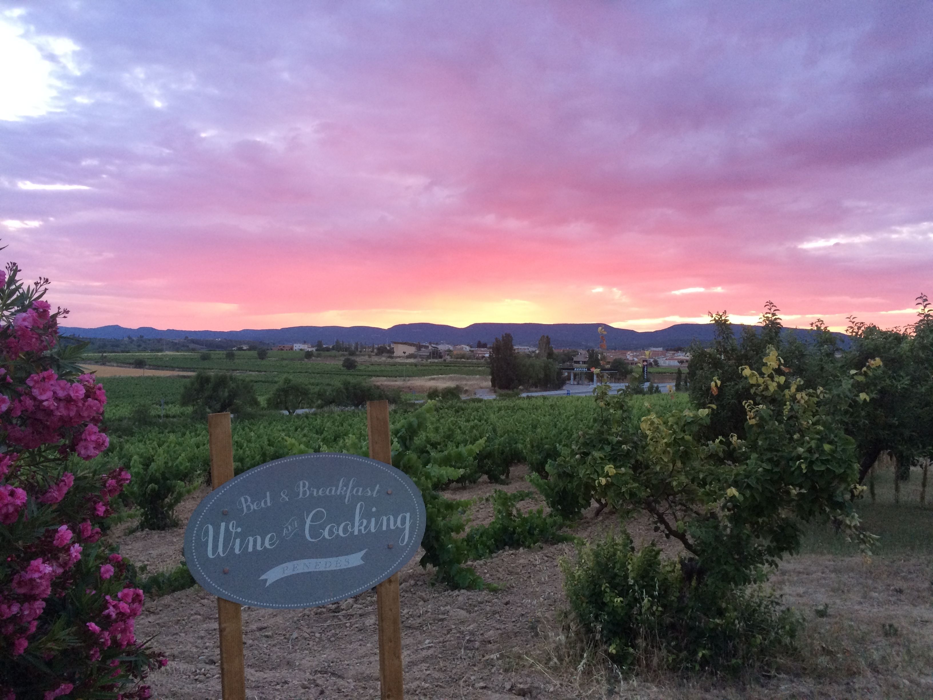 B&B Wine & Cooking Penedès