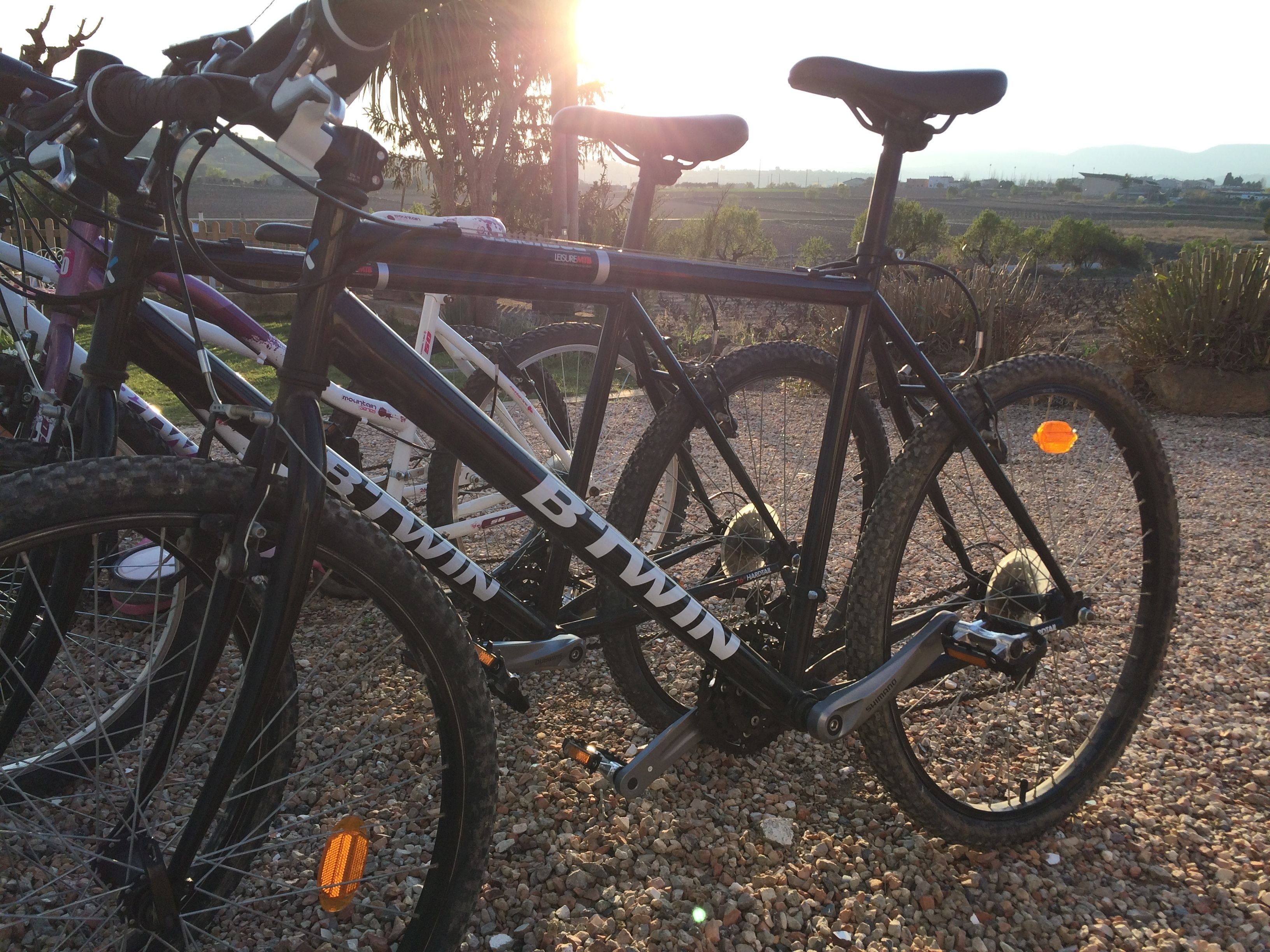 B&B Wine & Cooking Penedès