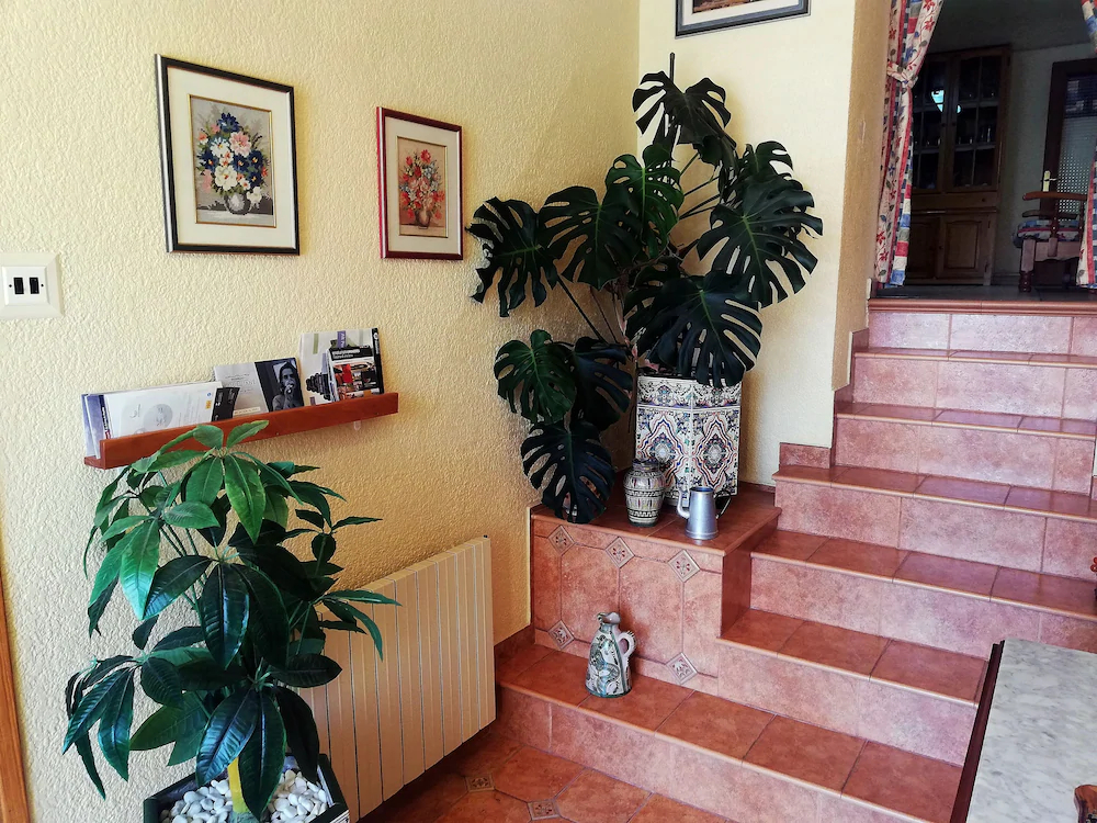 Joanet Guarda
