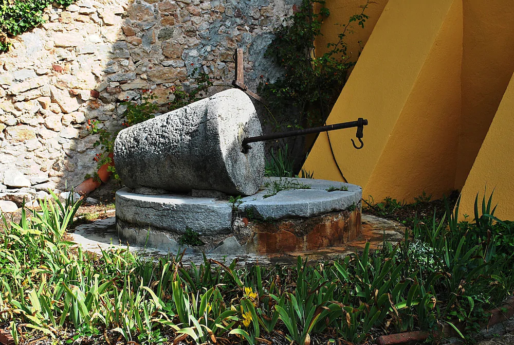 Joanet Guarda