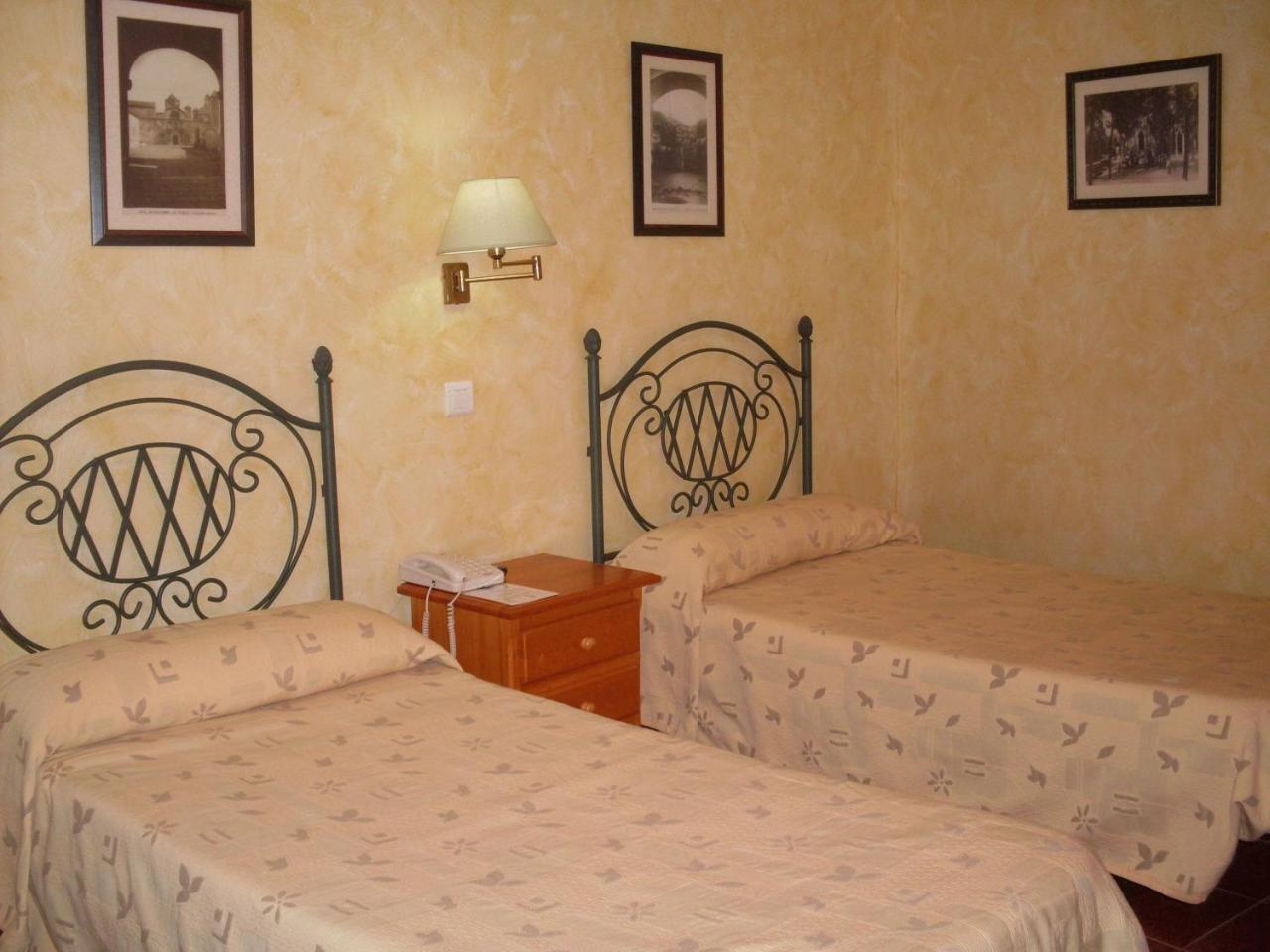 Rural Ocell Francolí