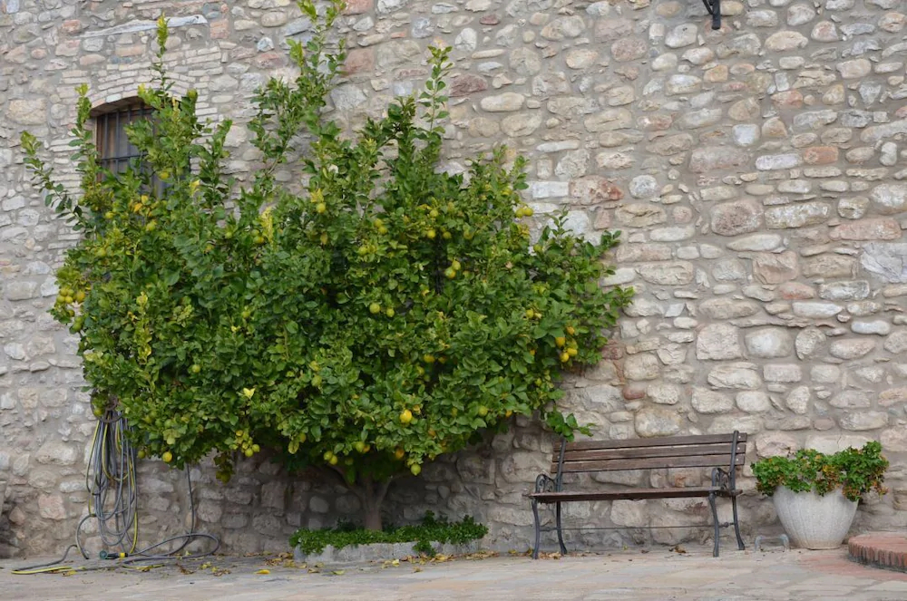 Casa Rural Can Xicota