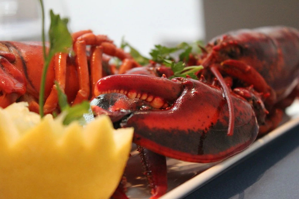 Hostal Gastronòmic La Creu