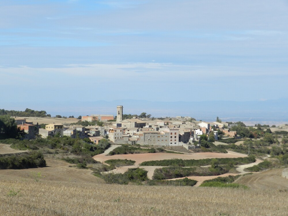 Cal Feliuet