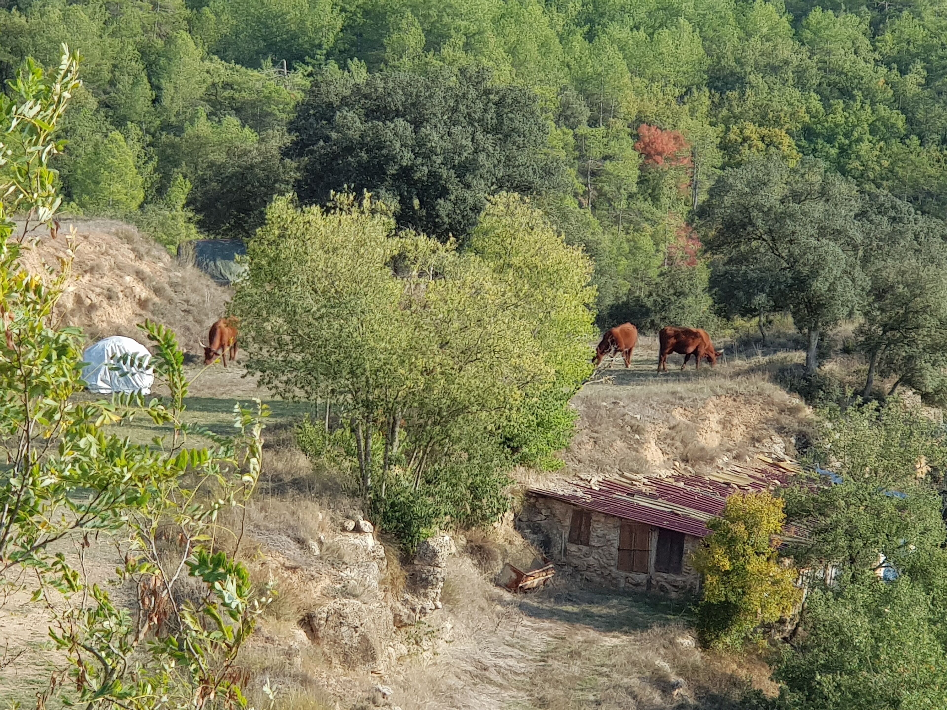Rural Sant Petrus De Madrona