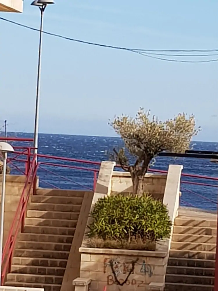 Apartamentos Nouvilas