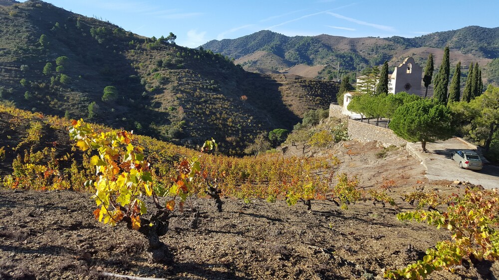 Casa Vella Del Panta De Riudecanyes